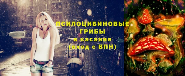 молекула духа Белоозёрский