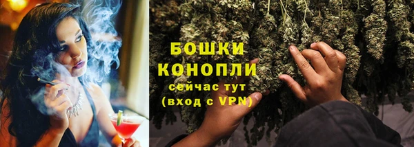 молекула духа Белоозёрский